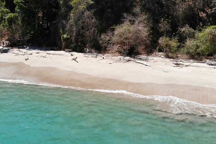 Paquera: Isla Tortuga Schnorcheltour