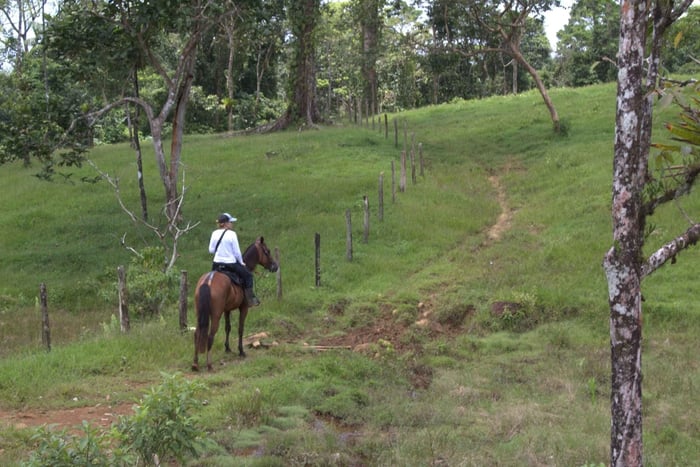 Passeio a cavalo privado - Rio Celeste