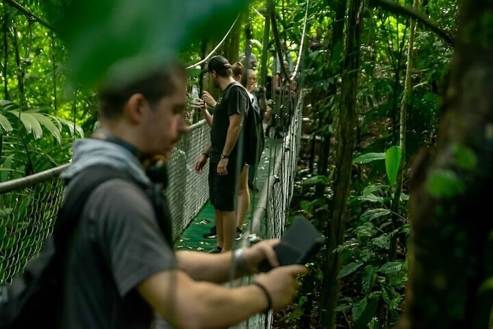 Puerto Limón: tour avventuroso con zipline e sky walk nella foresta pluviale