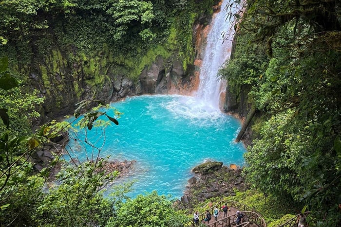 Río Celeste Waterfall | Luxury Tour — Certified Guide, Lunch