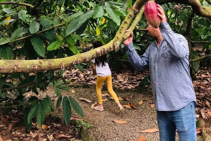 San Carlos : Visite guidée de l'art de la fabrication du chocolat à Don Olivo