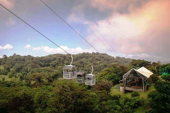 San Jose: Monteverde Sky Tram & Hanging Bridges Dagstur