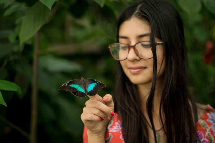 San Ramon: Vida de Colores Butterfly Farm Guided Tour