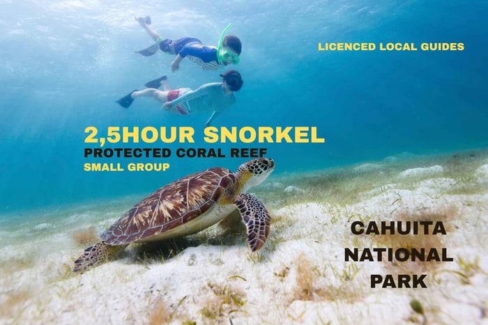 Schnorcheln im Cahuita Nationalpark