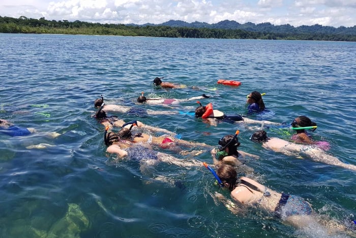 Excursion de plongée avec tuba à Cahuita et randonnée dans le parc national