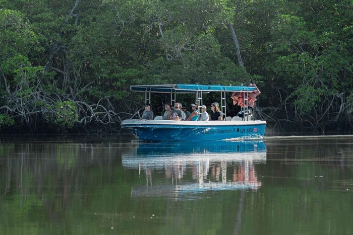 Tamarindo: Las Baulas Marine Park, Mangroves, and Nature Boat Tour