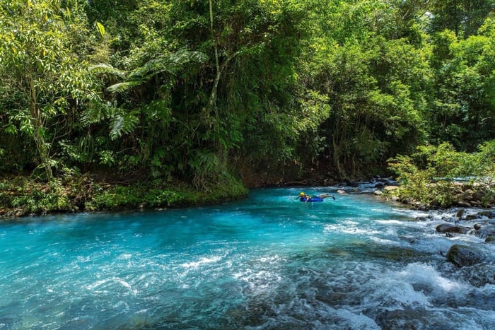 Ticket voor de Rio Celeste-waterval en het Tenorio National Park