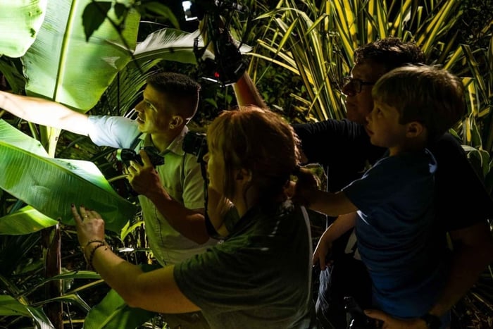 Tortuguero : excursion en canoë et promenade nocturne dans la jungle.
