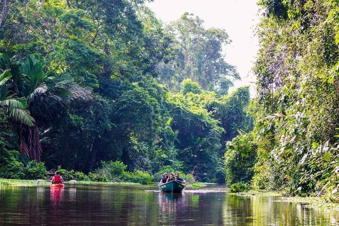 Tortuguero : Excursion en canoë et visite de la zone de nidification des tortues