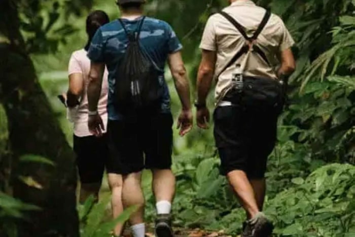 Tortuguero: Jaguar and El Gavilán Trails walk