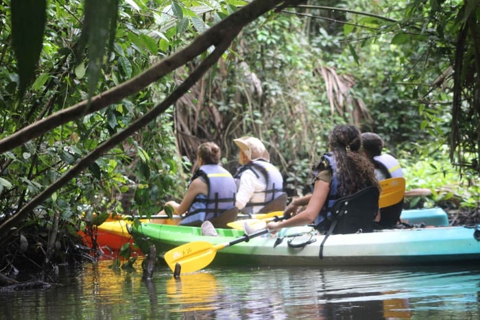 Tortuguero: KAYAK-kierros kanavissa. Verraton kokemus