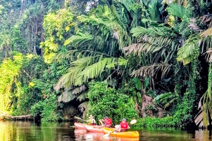 Tortuguero: tour en kayak por los canales naturales