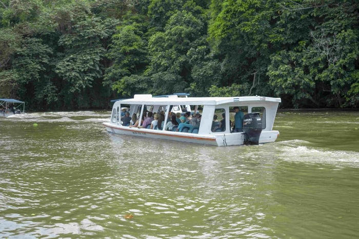 Tour por los Canales de Tortuguero y la Ciudad de Limón