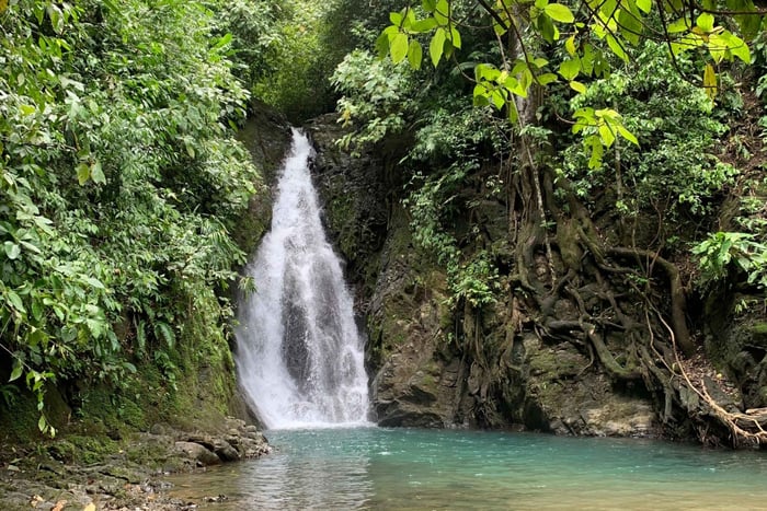 Uvita: Waterfall Adventure Hopping