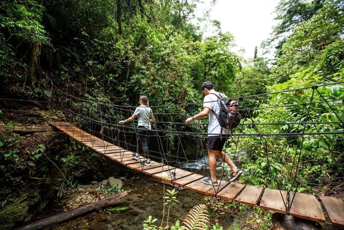 Monteverde: El Tigre Waterfalls Hike with Lunch