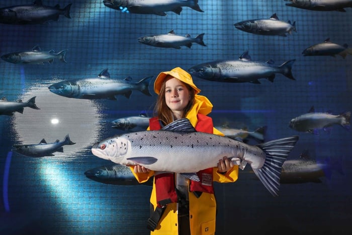 Condado de Clare: experiencia sobre el salmón con degustación