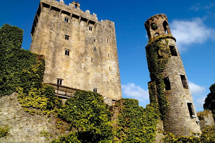 Blarney Castle Heldagstur fra Dublin