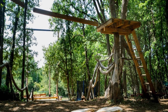 Adrenaline Park Entry Ticket with Zipline and Swing
