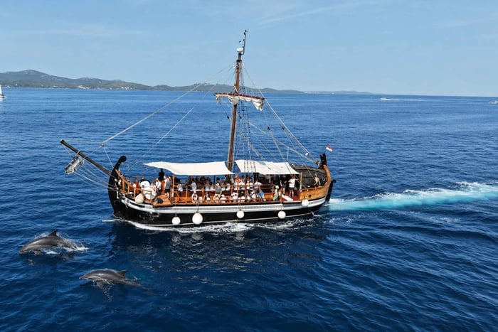 Dolphin Watching Tour Zadar-Kukljica, Food & Drinks Included