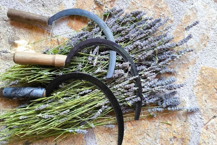 Hvar: Passeio na Fazenda da Família com Degustação de Comida, Vinho e Mel