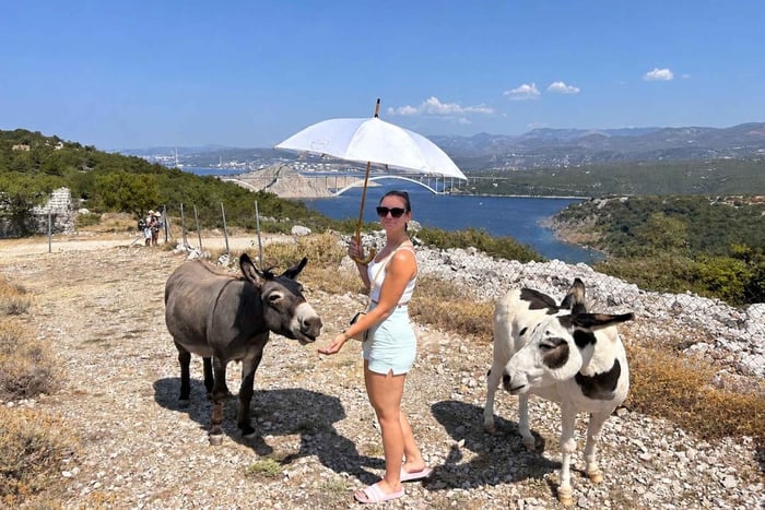 Immortelle Farm Tour with Donkeys and Distillery