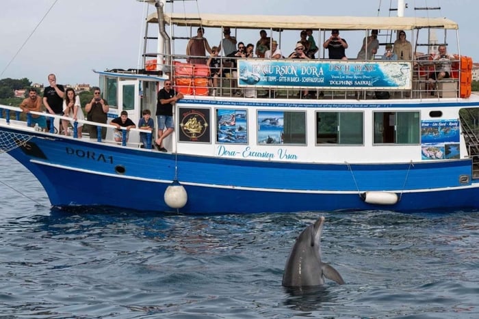 Izlet brodom iz Vrsara: Zalazak sunca i druženje s delfinima