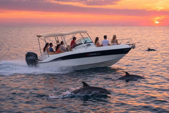 Poreč: safari de delfines en grupo reducido a la hora dorada
