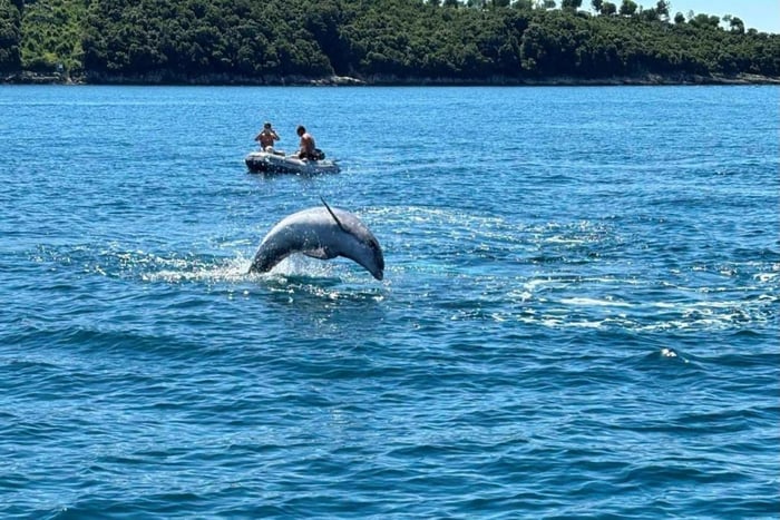 Poreč: Auringonlaskuristeily, merimetsojen bongausta ja delfiinien bongailua