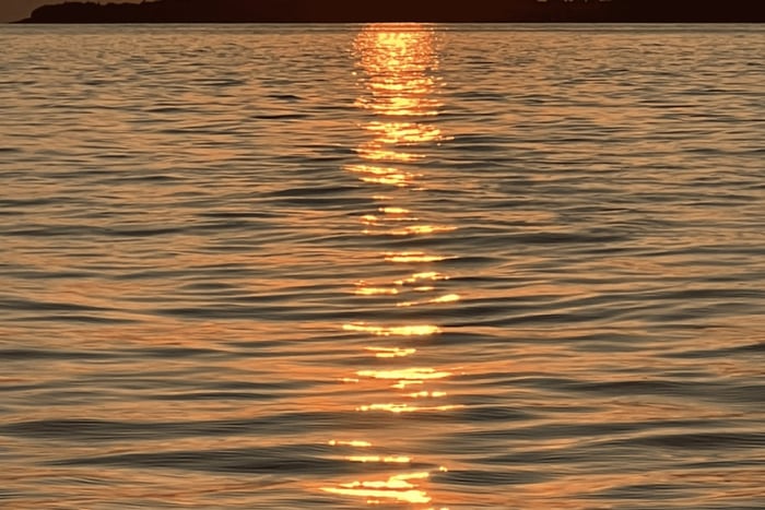 Rovinj: Private Bootstour zur Delfinbeobachtung bei Sonnenuntergang