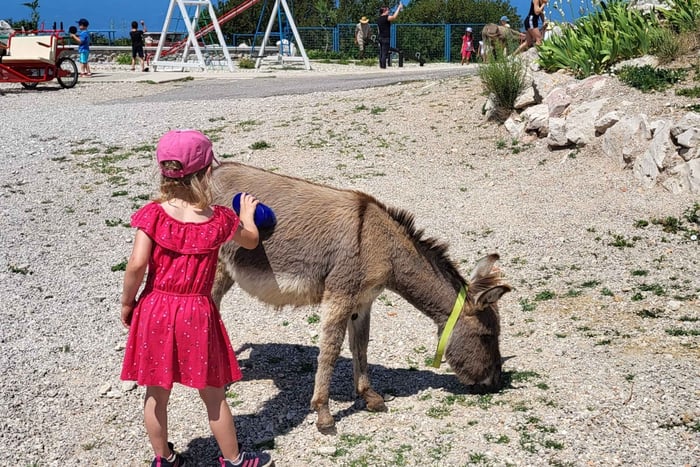 Šmrika (near Rijeka/Krk/Crikvenica) Donkey Farm Family Fun
