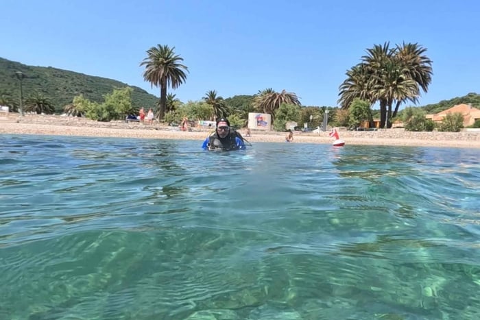 Split: Discovery Scuba Diving og Blue Lagoon-tur
