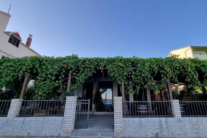 Split&Trogir : Dégustation de vin dans une cave en bord de mer