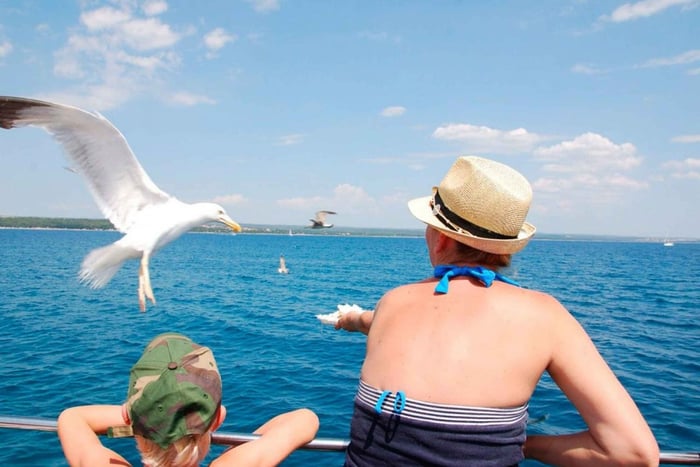 Pula: Brijuni National Park Tour with Island Visit
