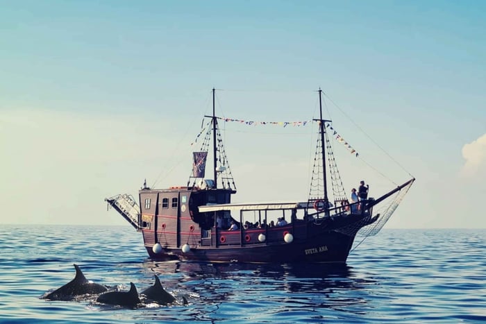 Orsera: Giro in barca per l'osservazione dei delfini