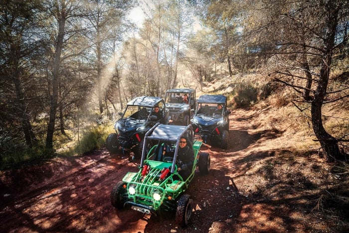 Benidorm: Buggy Jungle or Algar Waterfalls Tour