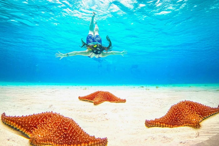 Cozumel: KUZÁ Day Pass, Buffet, Open Bar & El Cielo Snorkel