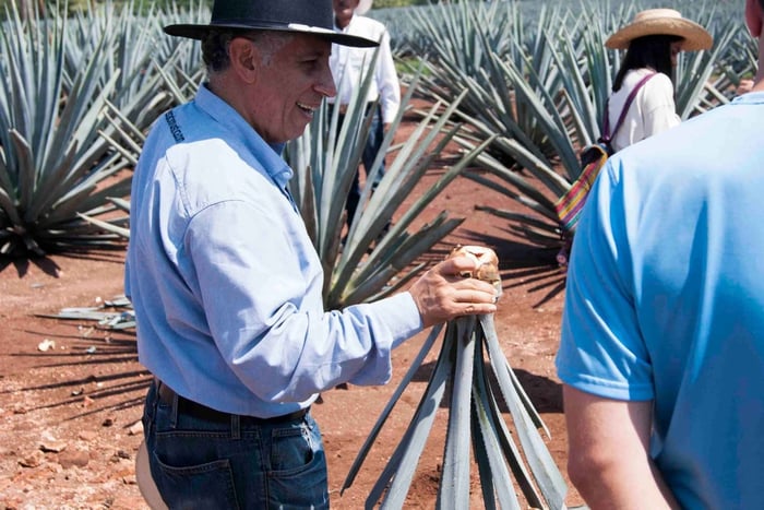 Depuis Guadalajara : Pyramides et visite de la Tequila Jose Cuervo