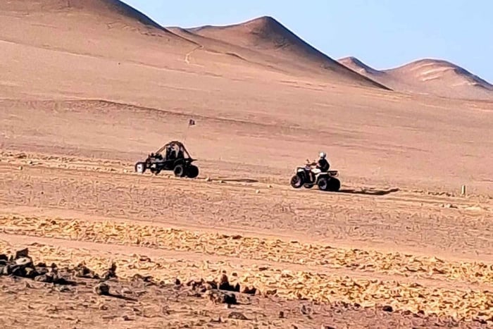 From Lima: Paracas and Hiuacachina Oasis Full-Day Adventure