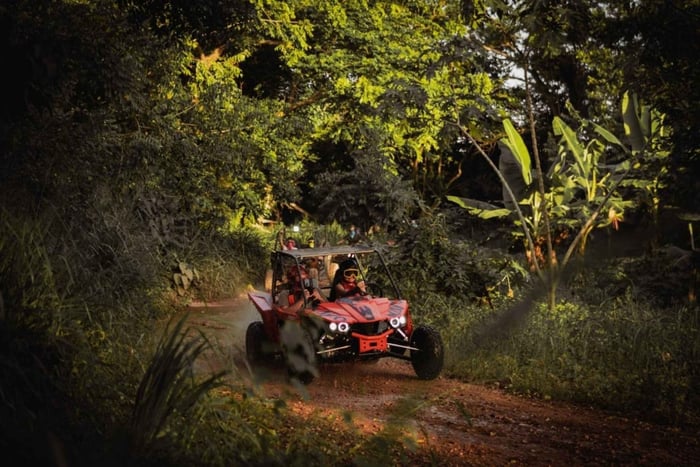 Full-Day Buggy, Zipline, and Cenote Tour in punta cana