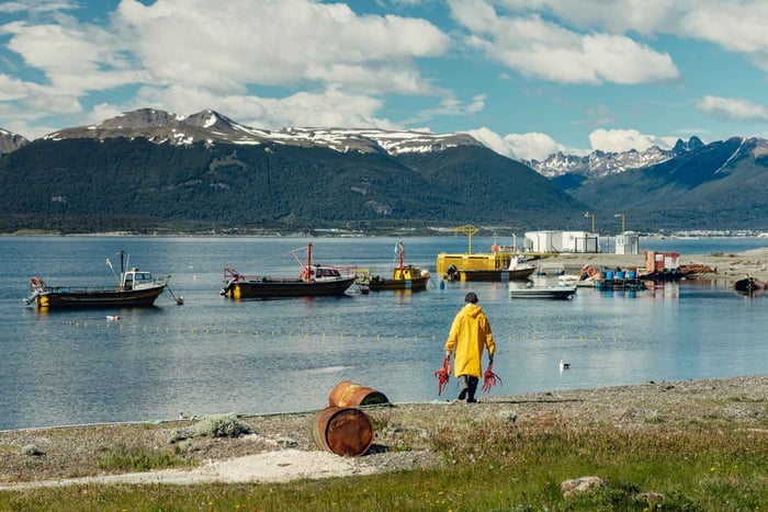 Kungskrabbruta och havets smaker – Tur till Puerto Almanza