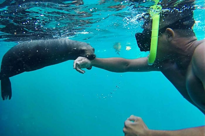 La Paz: Espíritu Santo Island, Balandra Beach, and Sea Lions – All-Inclusive