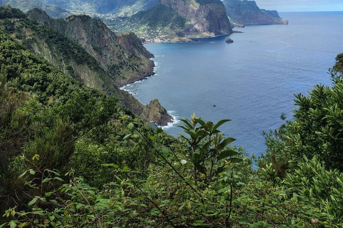 Madeira: Guidet fottur fra Caniçal til Porto da Cruz