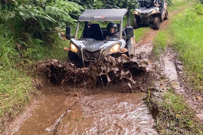 Madeira: Off-Road Buggy Driving Experience