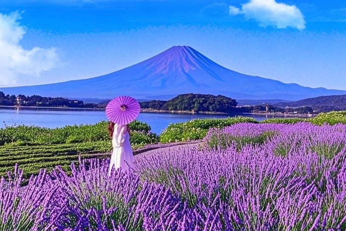 Fuji: Instagram-Tagestour zu 6 berühmten Orten ab Tokio