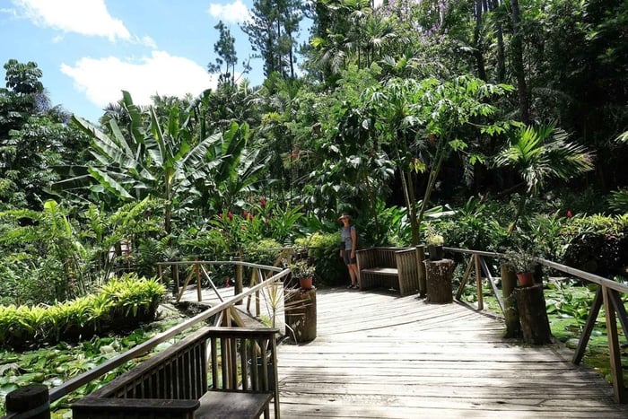 NADI-SABETO: Exquisite Orchid Garden with Hotspring Mudpool