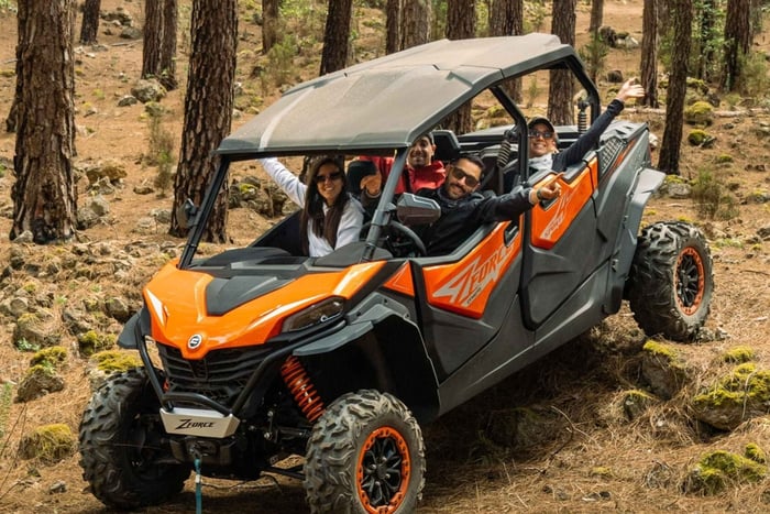 Puerto de la Cruz: Buggy Tour