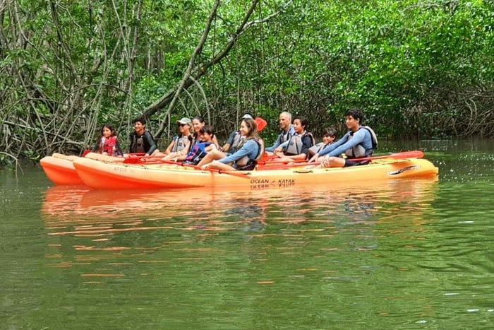 Puerto Jiménez: Kayak Tour through the Mangrove Canals