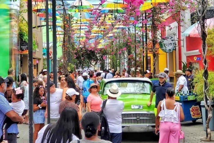 Puerto Plata: paisagens do campo, borboletário e observação de macacos