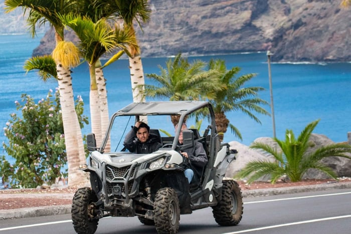 Tenerife: Teide National Park & Gigantes Cliffs Buggy Tour