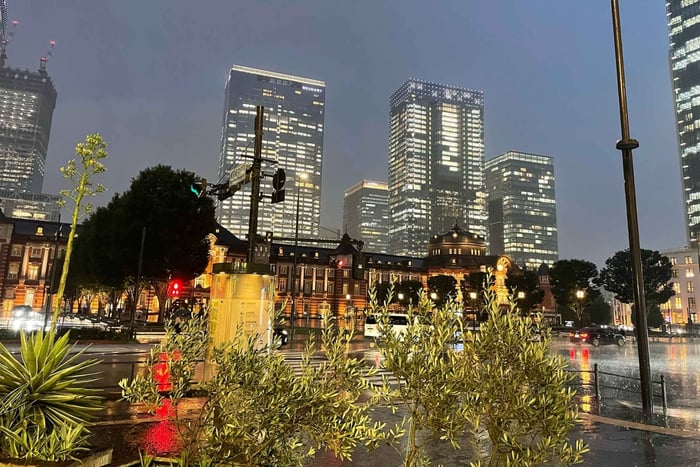 Tokio: wandeltocht langs hoogtepunten met Spaanse gids